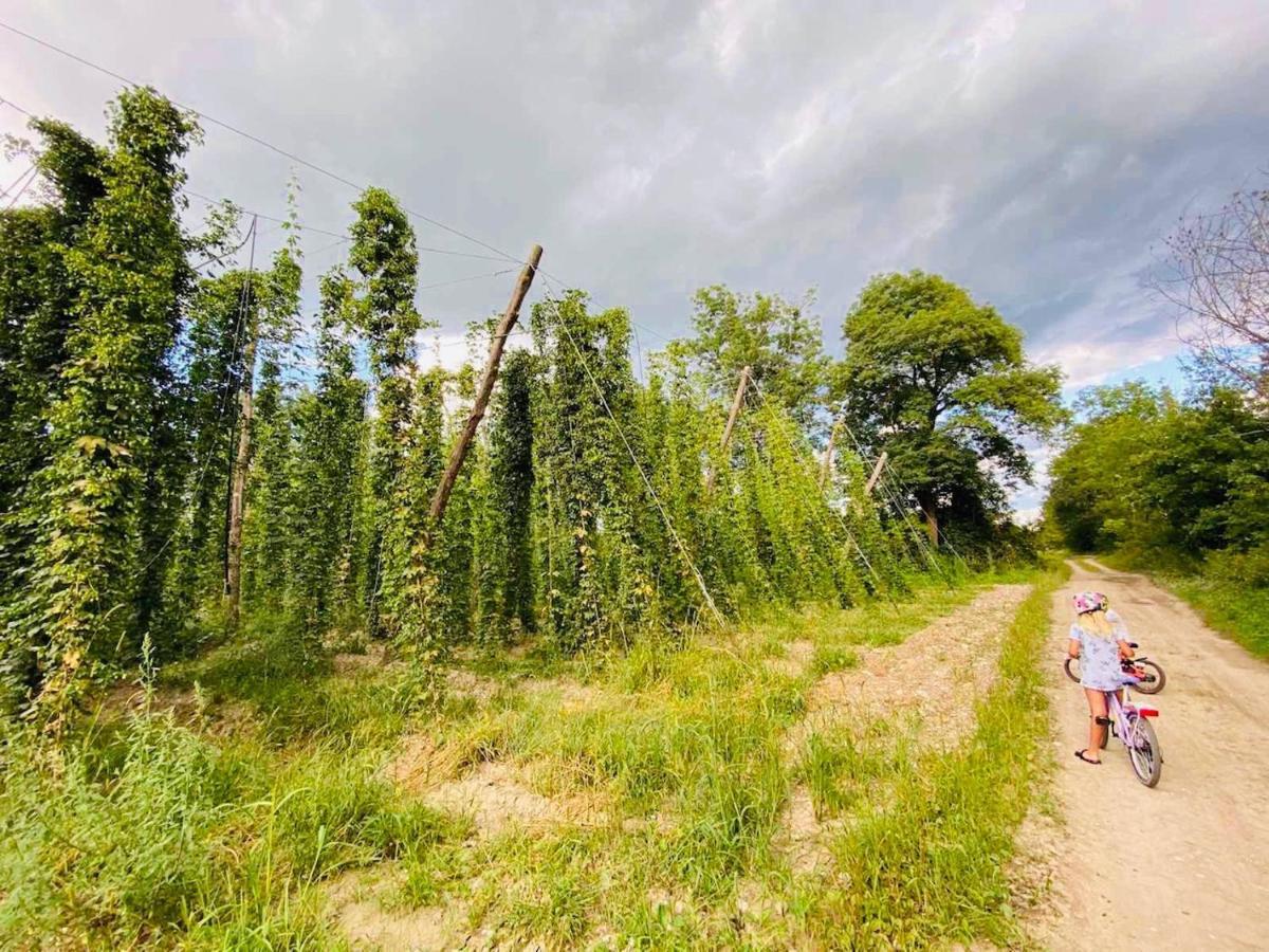Greenvalleyglamping Sesce Pri Preboldu ภายนอก รูปภาพ