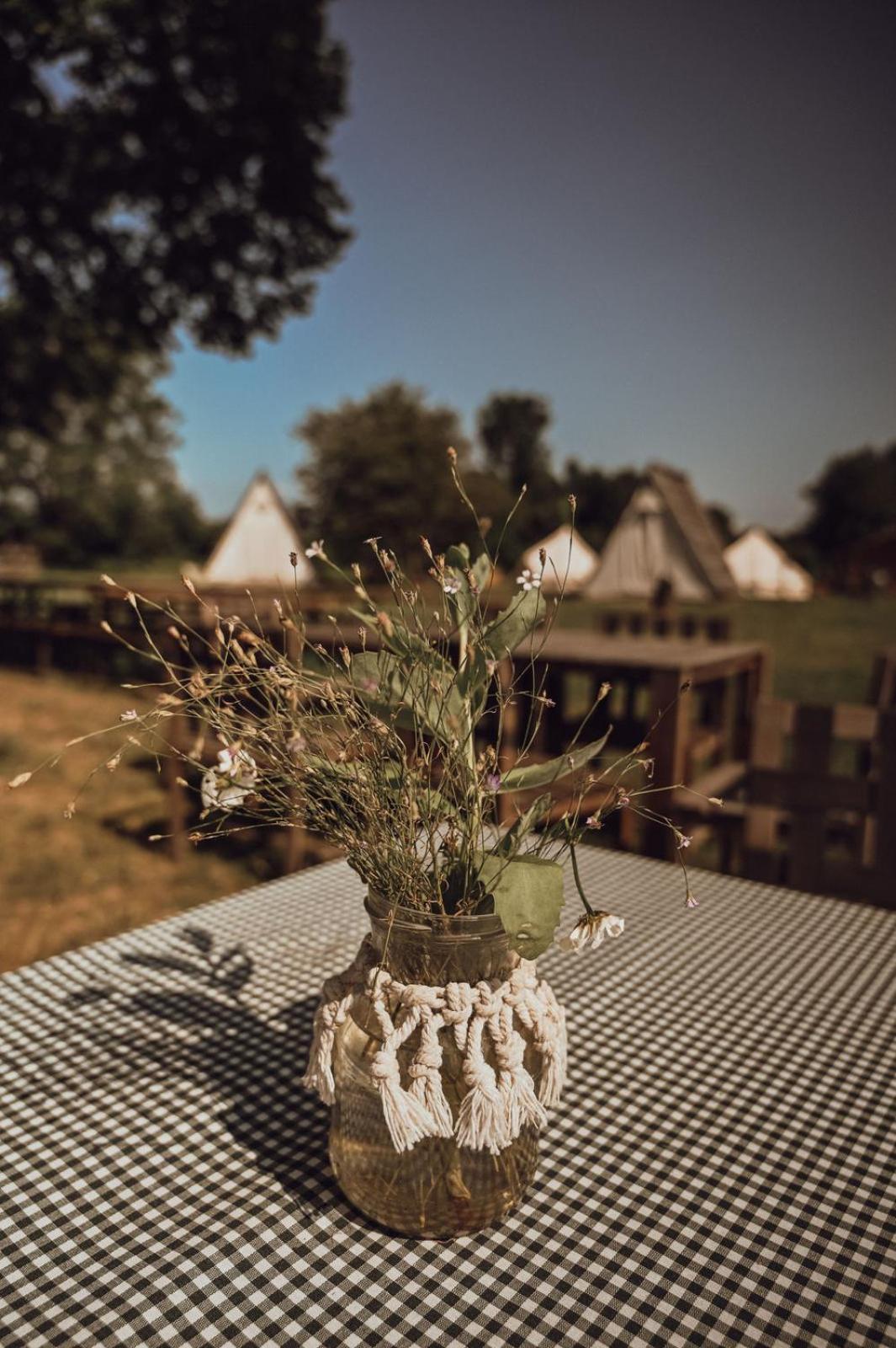 Greenvalleyglamping Sesce Pri Preboldu ภายนอก รูปภาพ