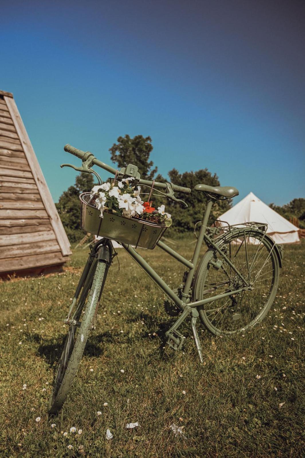 Greenvalleyglamping Sesce Pri Preboldu ภายนอก รูปภาพ